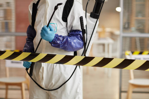 Professional Sewage Cleanup technician working in Saint Edward, NE